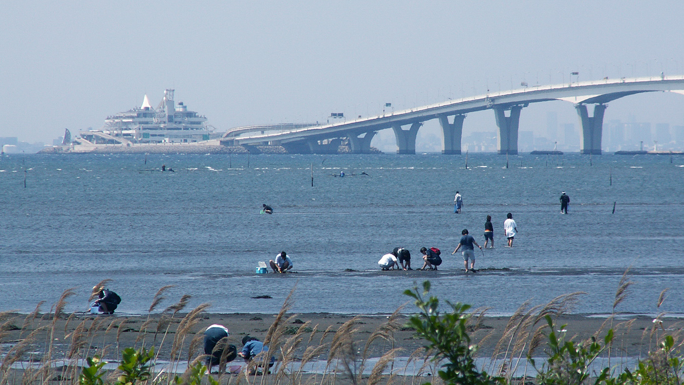 木更津市の潮干狩り情報 19年まとめ 木更津のことなら きさらづレポート きさレポ