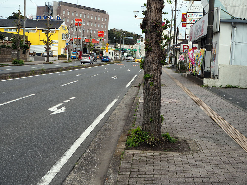 君津駅から歩いていける東坂田に居酒家 みしまがオープン 木更津のことなら きさらづレポート きさレポ