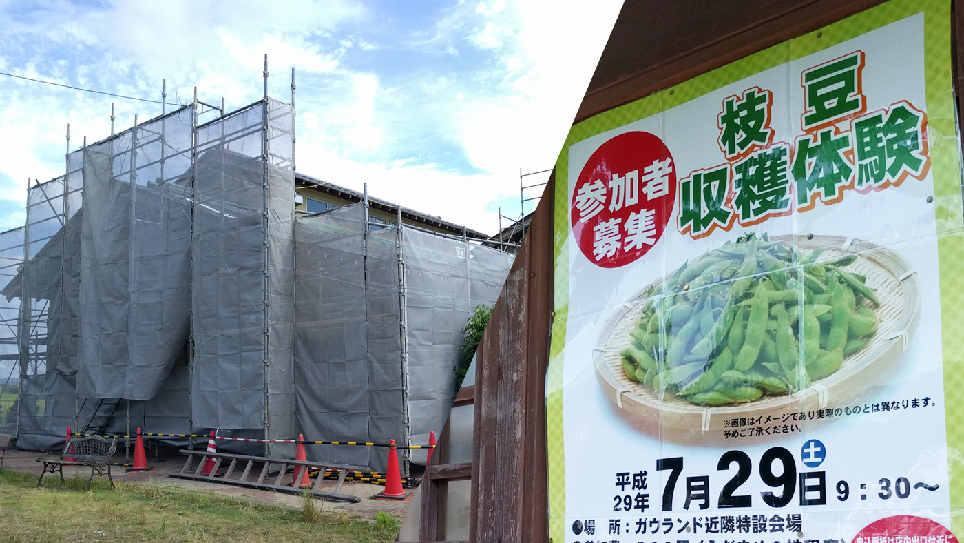 ゆりの里 改修工事のお知らせと 枝豆収穫体験参加者募集のお知らせ 木更津のことなら きさらづレポート きさレポ ゆりの里 改修工事のお知らせと 枝豆収穫体験参加者募集のお知らせ 木更津のことなら きさらづレポート きさレポ
