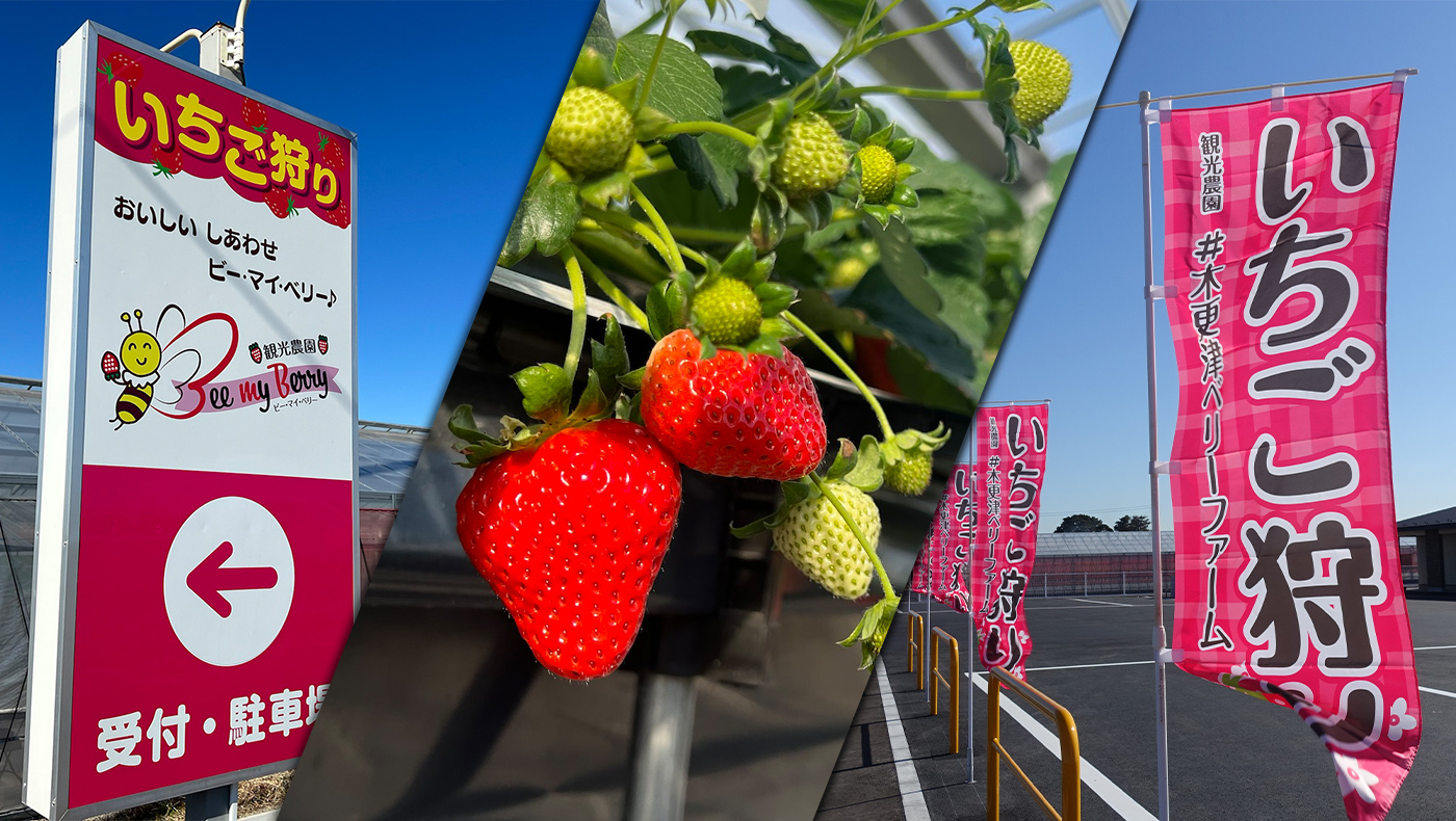 アクアラインから一番近い！】いちご狩りが楽しめる観光農園「Bee my