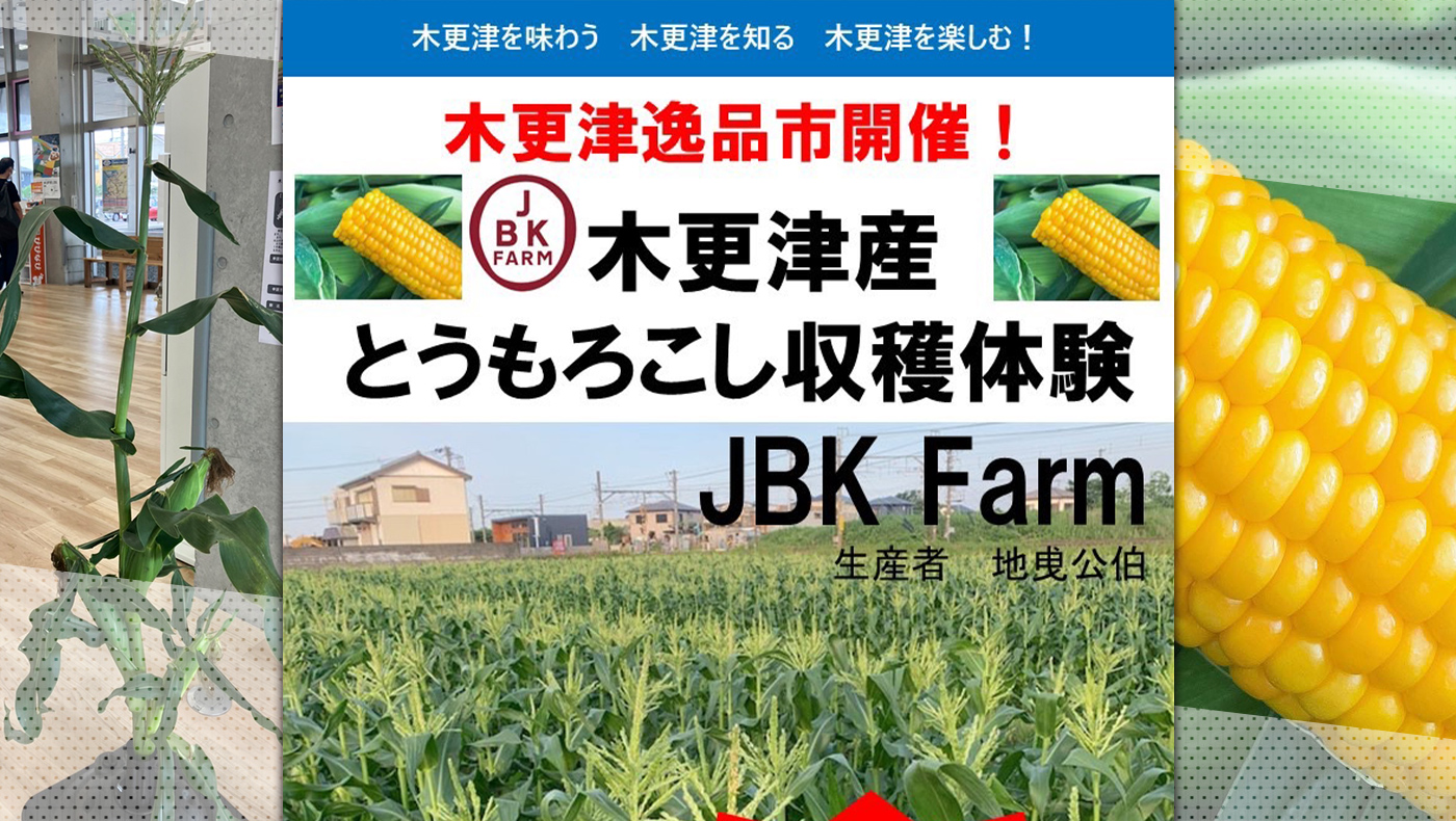 にもござい ヤフオク 木更津での引取限定 ココスヤ シ 全長約3m前後 ココスヤ