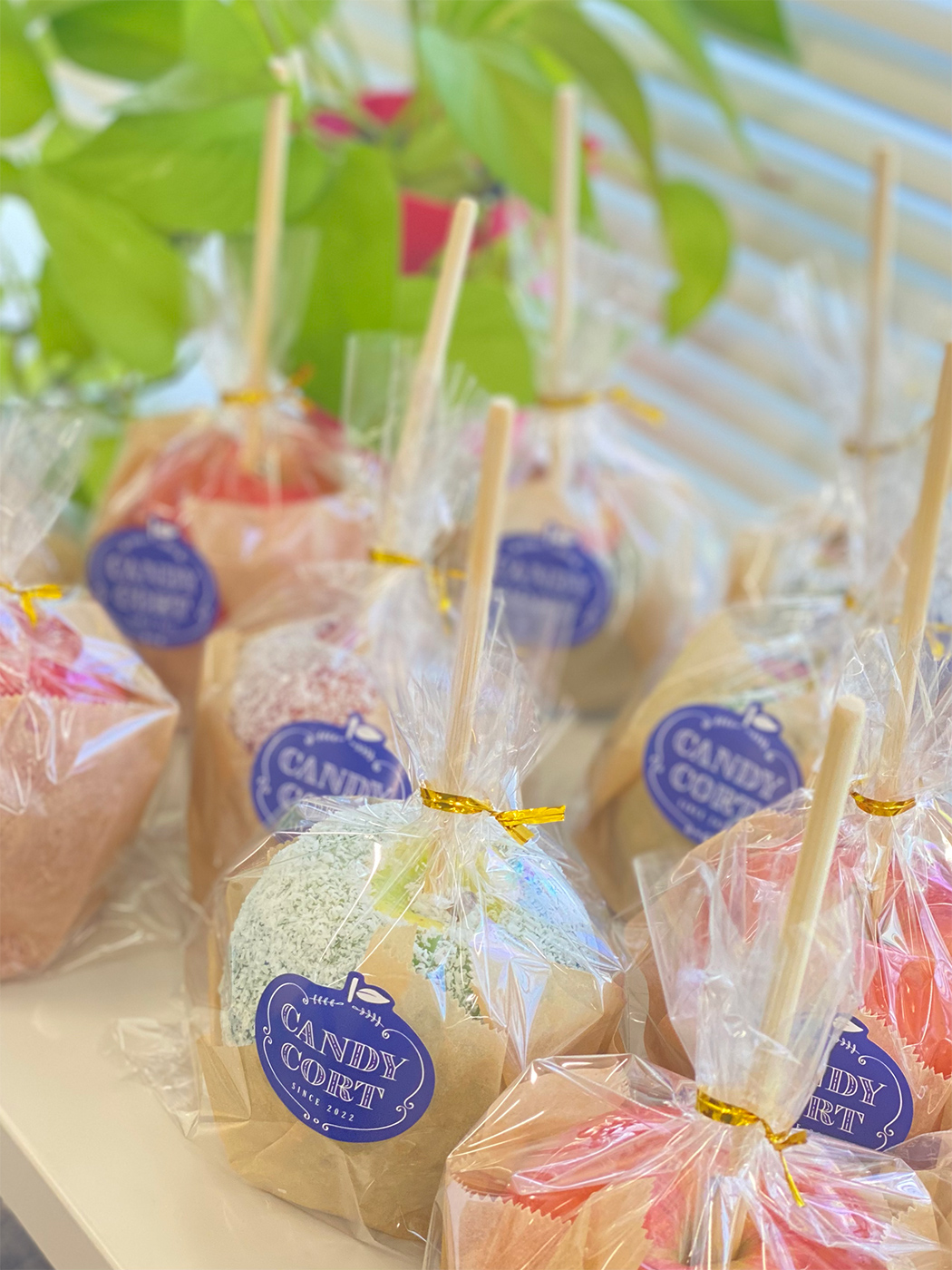 【産地直送の「旬」をキャンディーでコーティング！】キッチンカー「CANDY CORT（キャンディーコート）」が9月23日（金・祝）オープン